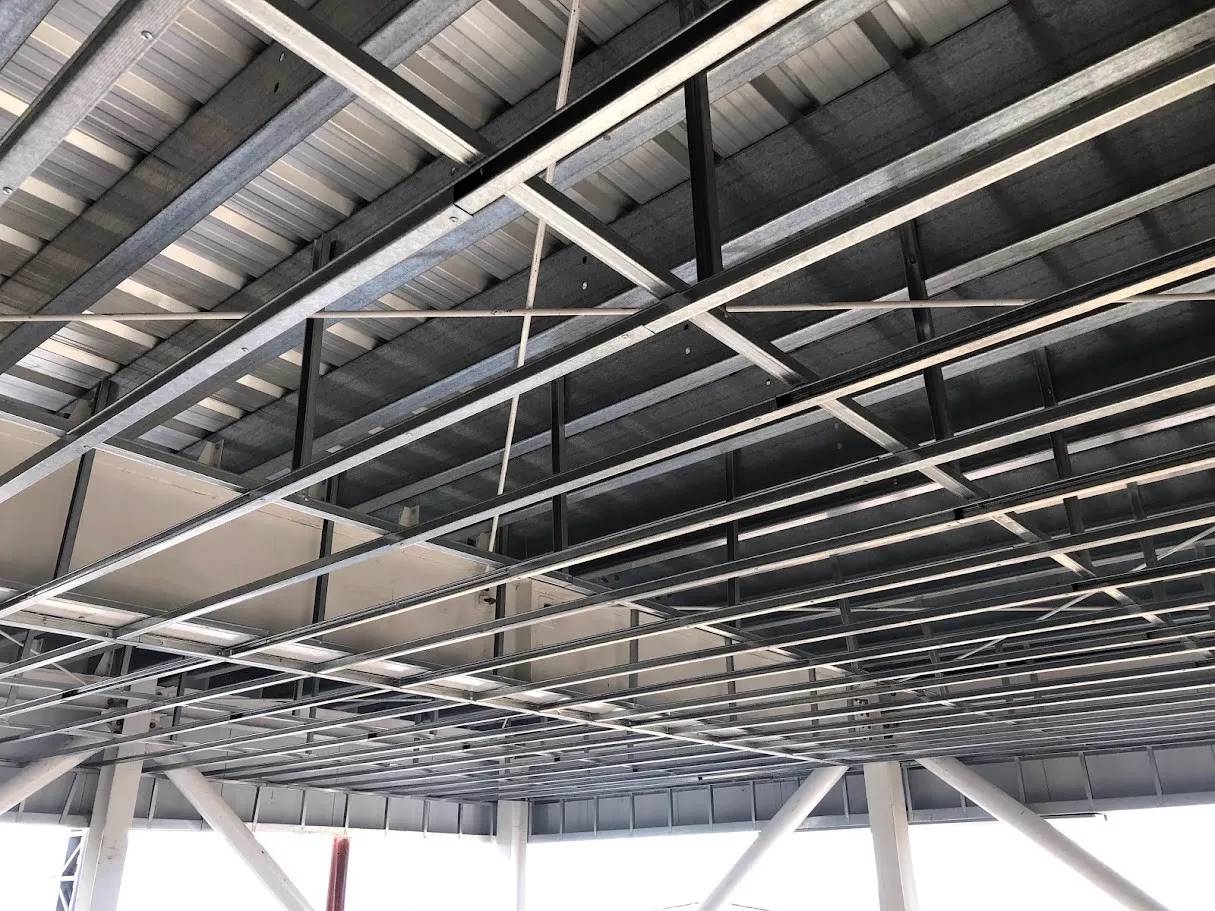 Steel Frame - Tecnología constructiva